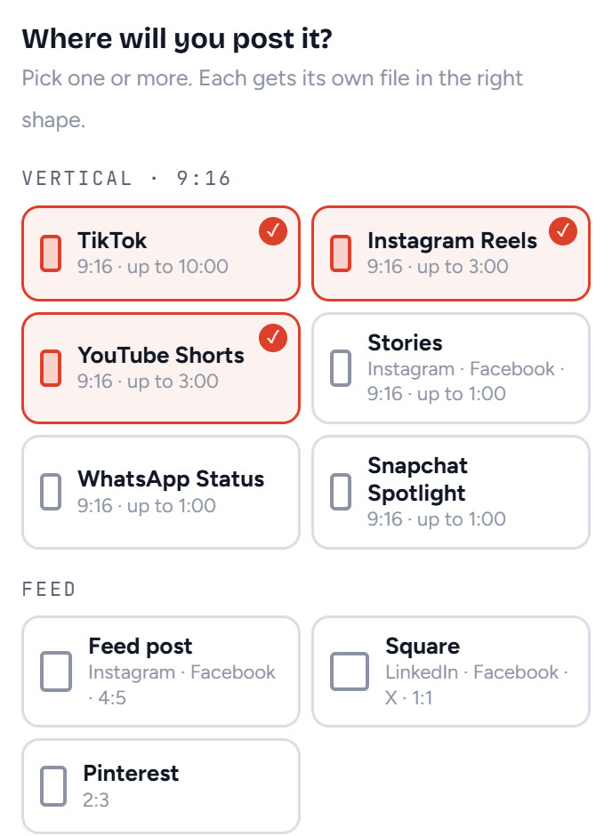 Platform picker with TikTok, Instagram Reels and YouTube Shorts selected for vertical 9:16 clips